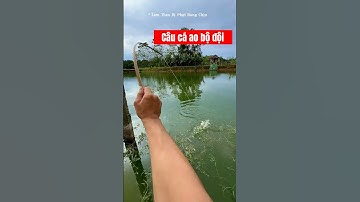 MT Fishing - Câu Cá Trong Ao Bộ Đội Và Cái Kết - Câu Cá Giải Trí