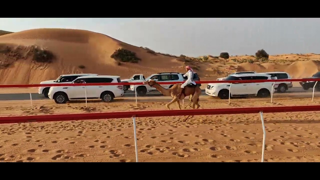 اللبسة :13-12-2024ش2 المركاض التراثي