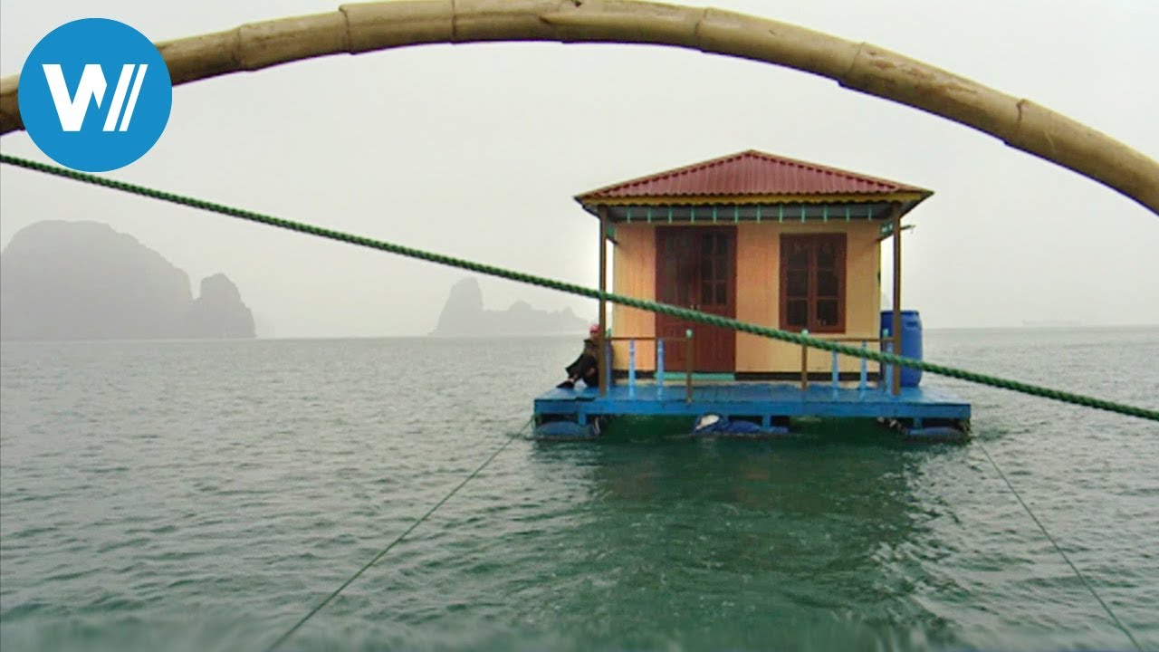 UNDERWATER Trailer German Deutsch (2020)