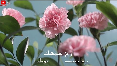 ارح سمعك.. تلاوة تاخذك الى عالم آخر 🎧🤍القارئ الشيخ ياسر الدوسري-سورة السبا