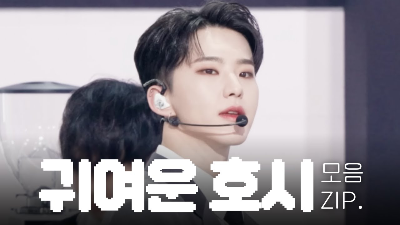 [세븐틴/호시] 호랑이같은 쥐 호시 모음🐯🐹