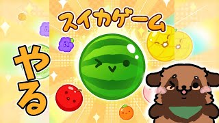 【まかせろ】スイカゲーム【まめたぬき】