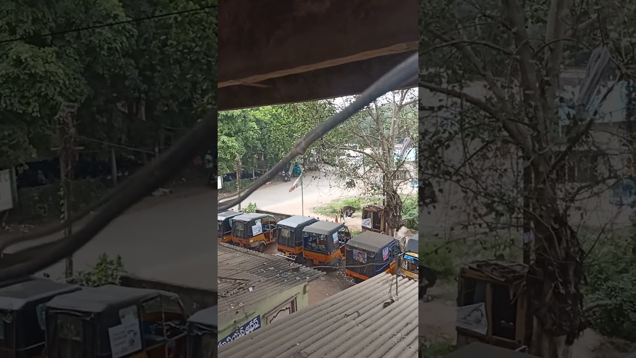 Tanuku Bus Stop View // 