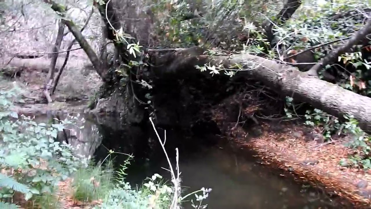 Exploring Napa Creek Youtube