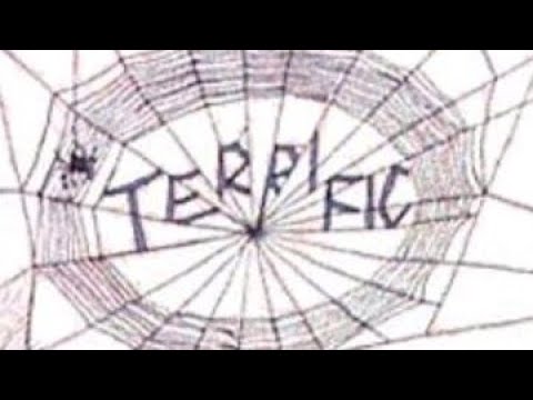 TEARS or TERMINATOR? @outliersinexile@genxhasenteredtheroom2906 - YouTube