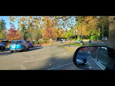 Island Park Elementary School Buses in Mercer Island, WA