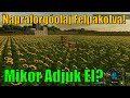 FS 22 | 5. rész - Napraforgóolaj Felpakolva! Mikor Adjuk El?