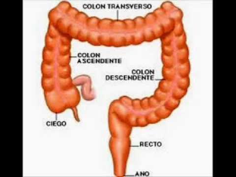 Que tomar en ayunas para el colon irritable