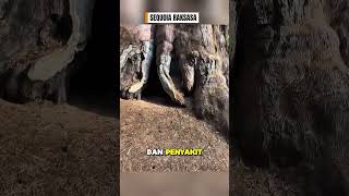Organisme purba yang masih hidup