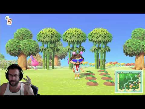 How to Plant Pumpkins. Animal Crossing New Horizons - Nintendo Switch - NS2
