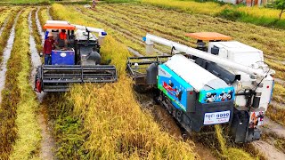 DJI 20251027093046 0015 D