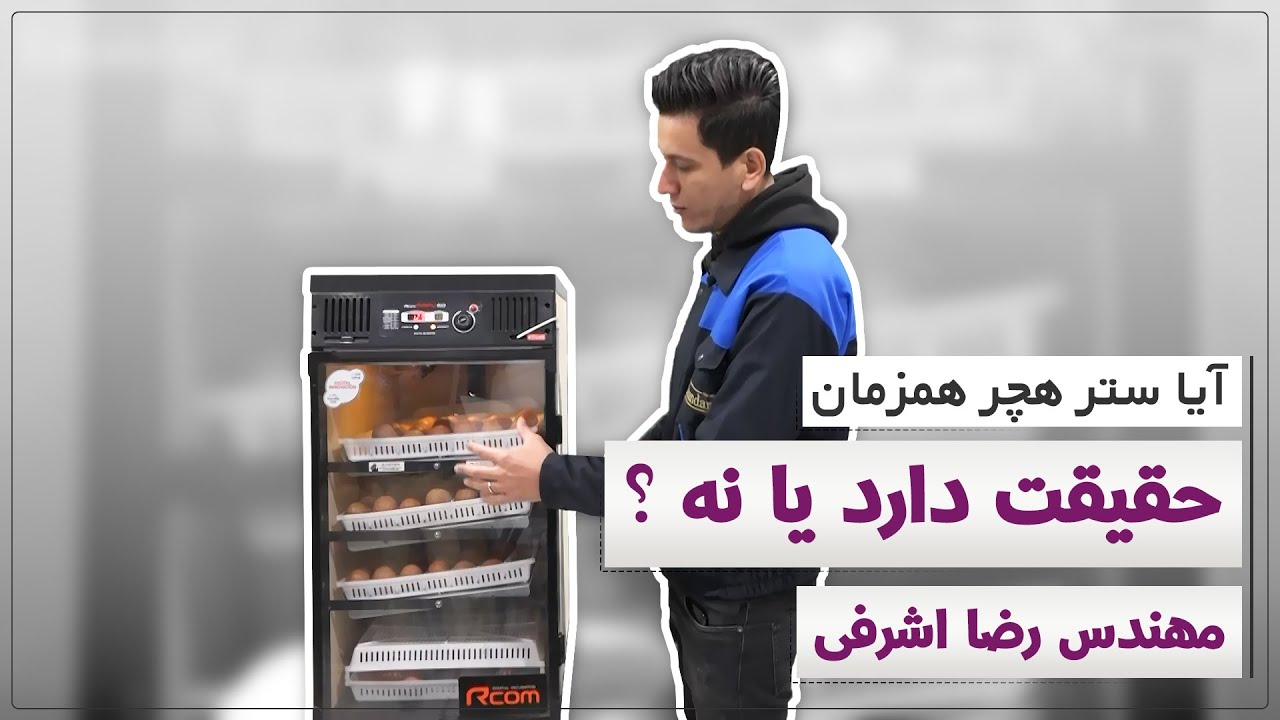 آیا ستر هچر همزمان در دستگاه جوجه کشی واقعیت دارد یا نه؟