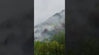 Karadeniz Yaylalarının Güzel Manzarası Huzur Veren Video Calming Music