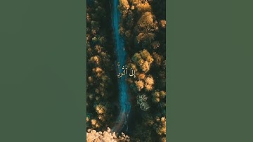 (رسولا يتلو عليكم آيات الله مبينات) _ القارئ شريف مصطفى | تلاوة مؤثرة مبكية