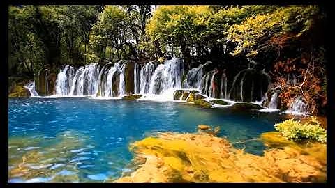 سورة الانفال 1 الى 40  الشيخ صلاح بوخاطر