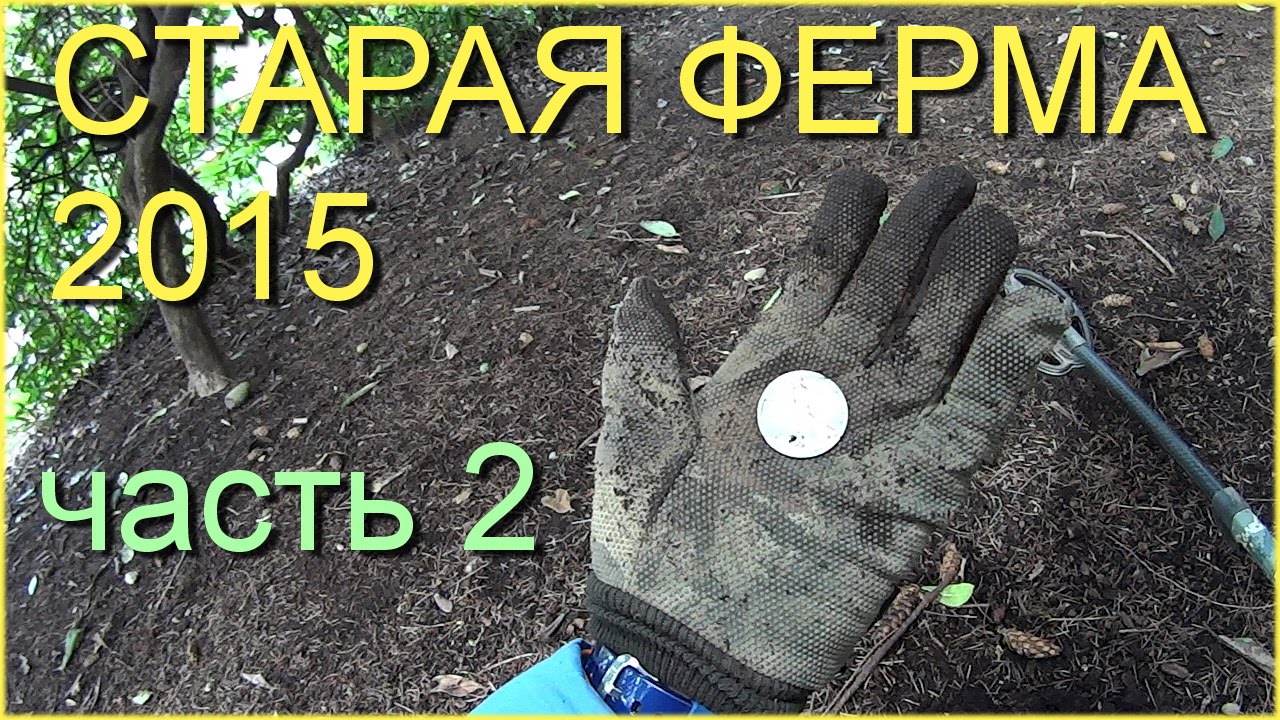 2015 КОП Старая Ферма Проиносит Огромную Серебрянную Монету (Silver Coin Hunt) США