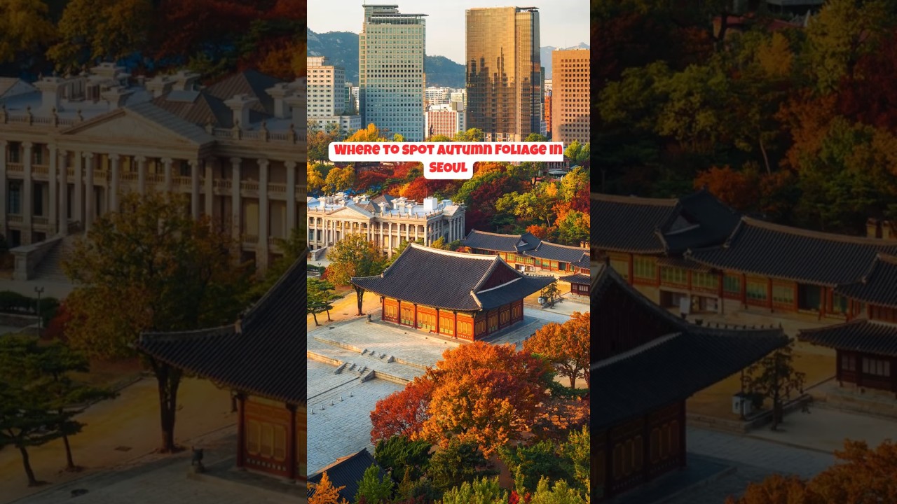 Places to visit in Seoul for Autumn Foliage | Seoul, South Korea