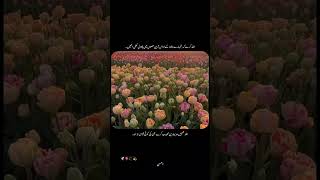 کبھی کبھی دل کے اندر ایک خاموش اداسی بسی ہوتی ہے، جسے صرف اللہ ہی جانتا ہے۔ #emotional #shortsfeed