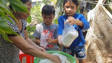 Về quê ngoại nấu bánh canh vịt, quê hương mến yêu"thd070