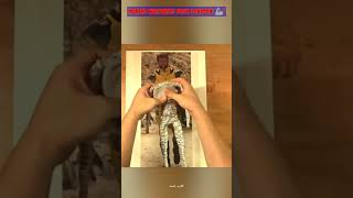 Making Wolverine with Clay & Foil #wolverine #marvel #clayart #sculpture #diy #logan #shorts