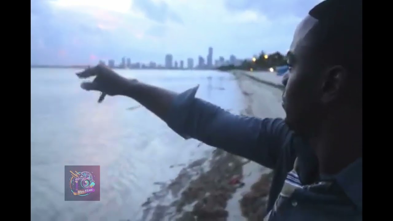 The Unseen Hustle: The Real Story of "Casting Dreams" 