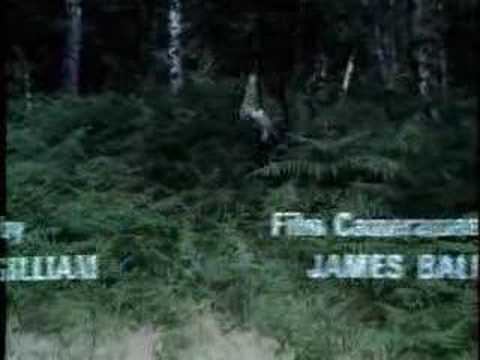 How To Recognize Different Types Of Tree - Closing Sequence