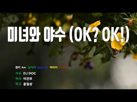 [은성 반주기] 미녀와야수(OK? OK!) - DJ DOC
