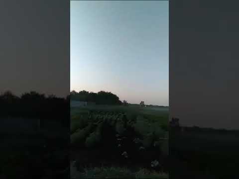 "Война началась" Перестрелка в Воронежской области.