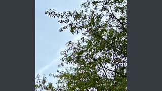 Download Lagu Bariban Akhir Perjalanan Cinta MP3