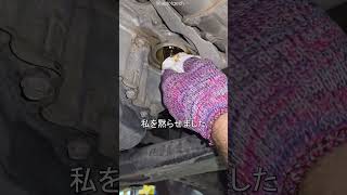 整備士 オイル交換 プロ技