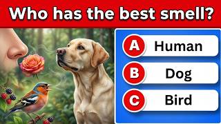 99% Fail This Impossible General Knowledge Quiz! 🧠 screenshot 4
