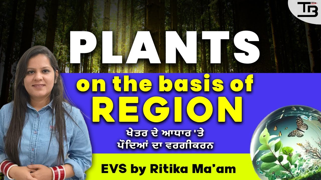 🎯“Class-88 Plants on the basis of Region: Understanding Plants🌍 by Ritika Mam #evs #pstet2024