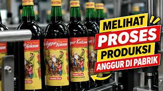 Melihat Proses Produksi Anggur di Pabrik #wine #orangtua #prosesproduksi #pabrik #minuman