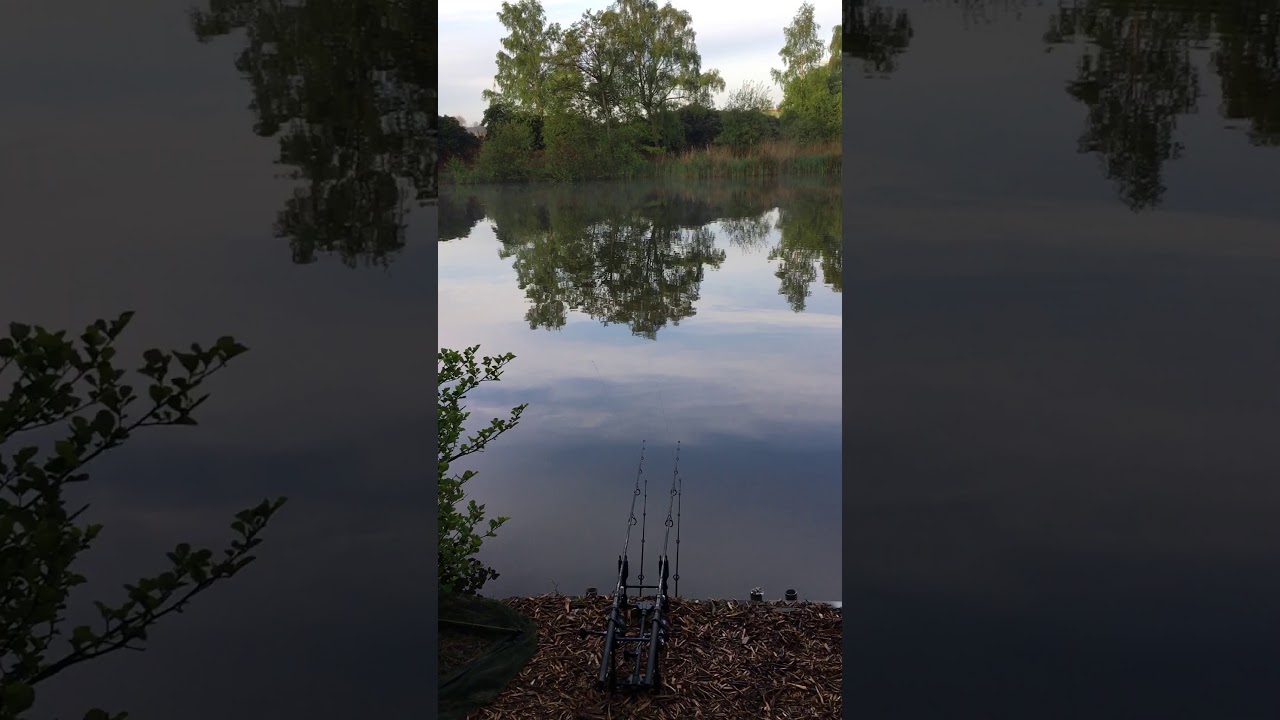 L Lakes Mansfield YouTube