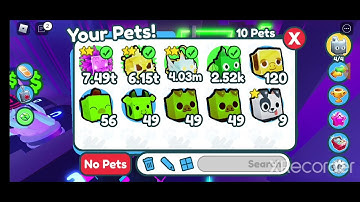 hacker portal quest 1 part 1 pet simulator x