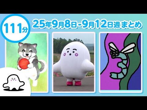 ぷしゅページです☆ シナぷしゅch - YouTube