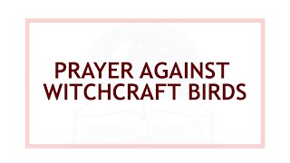 Short But Effective Prayer Against Any Witchcraft Birds