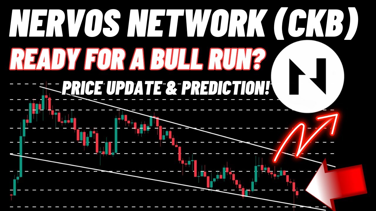 Готова ли сеть Nervos к росту? | Новости и прогноз цен на криптовалюту CKB!