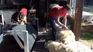 Perkinz ShearMaster
