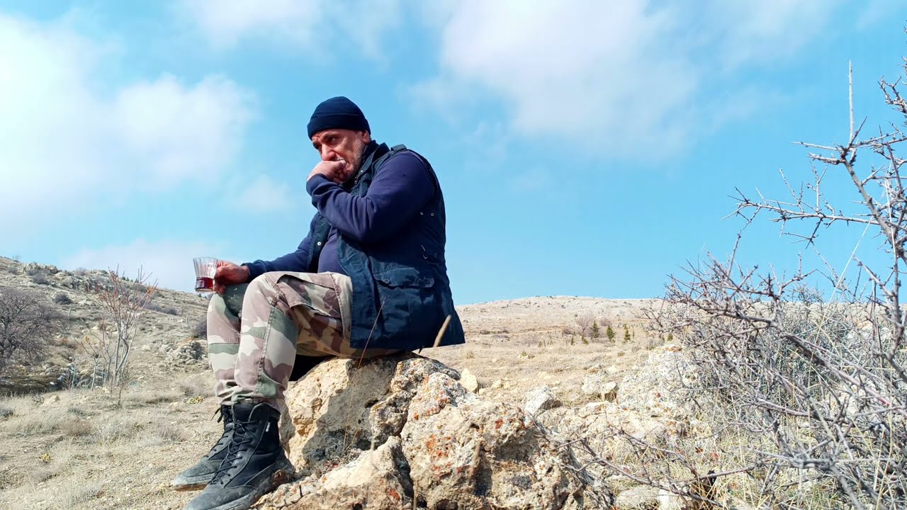 ЖИЗНЬ ГОР ~ ШАЛЕ ~ ДЕСЕРТ РЕВАНИ В КУХОННОЙ ПЛИТЕ ~ УХОД ЗА ДЕРЕВЬЯМИ ( 25 )