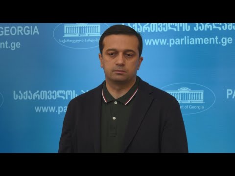 ხელოვნური დემოკრატიული ინსტრუმენტებით ჩარევა ვერ უზრუნველყოფს შედეგს - იოსელიანი