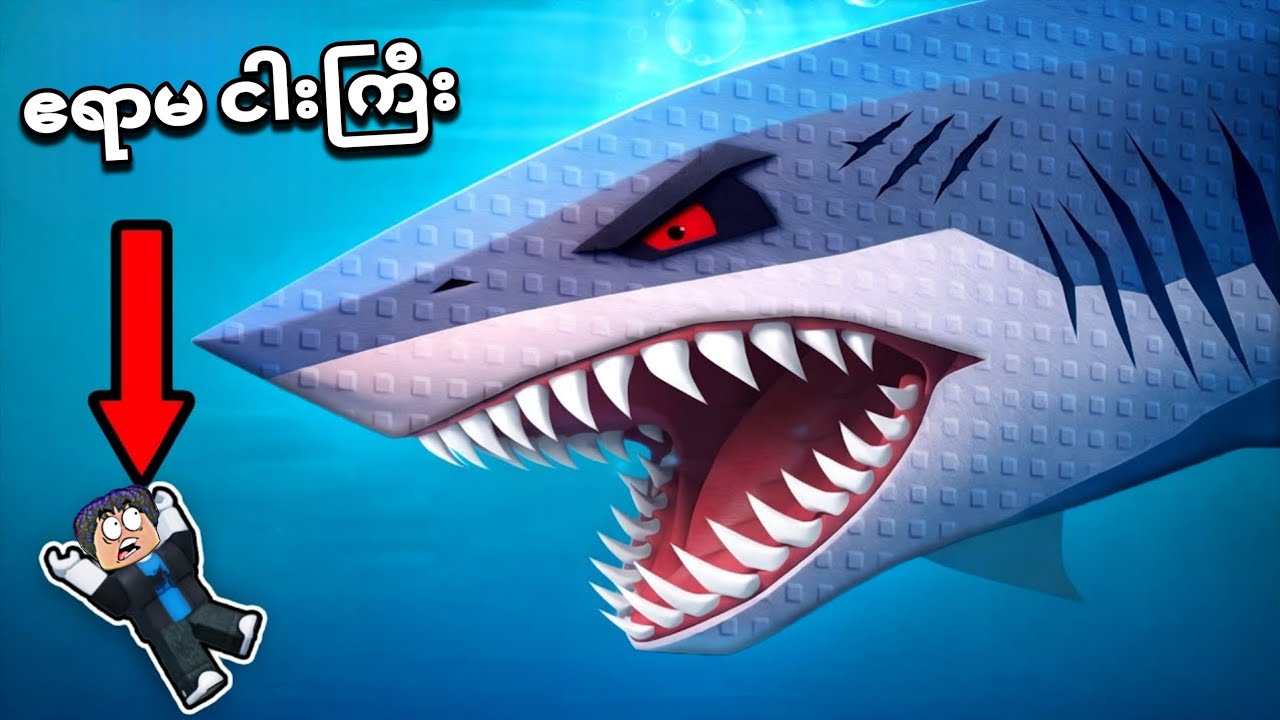 ဧရာမ ငါးကြီး စားတာခံလိုက် ရပြီဗျို့ / be a fish in Roblox 