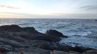 Pendeen, Cornwall, England, 1st August 2015.