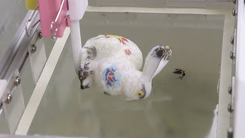 Chinese, US Researchers Develop Accurate Hydrographic Printing for 3D Objects