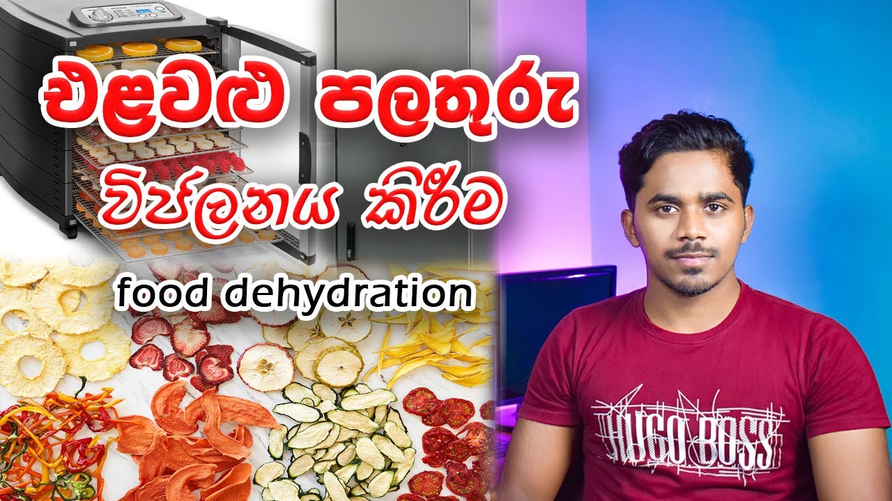 Cheapest Food Dehydrator Machine in Sri Lanka 