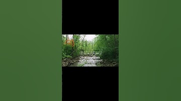 {واتل عليهم نبأ إبراهيم} تلاوة من سورة الشعراء للقارئ أبوالقاسم                   #المصحف #قرآن
