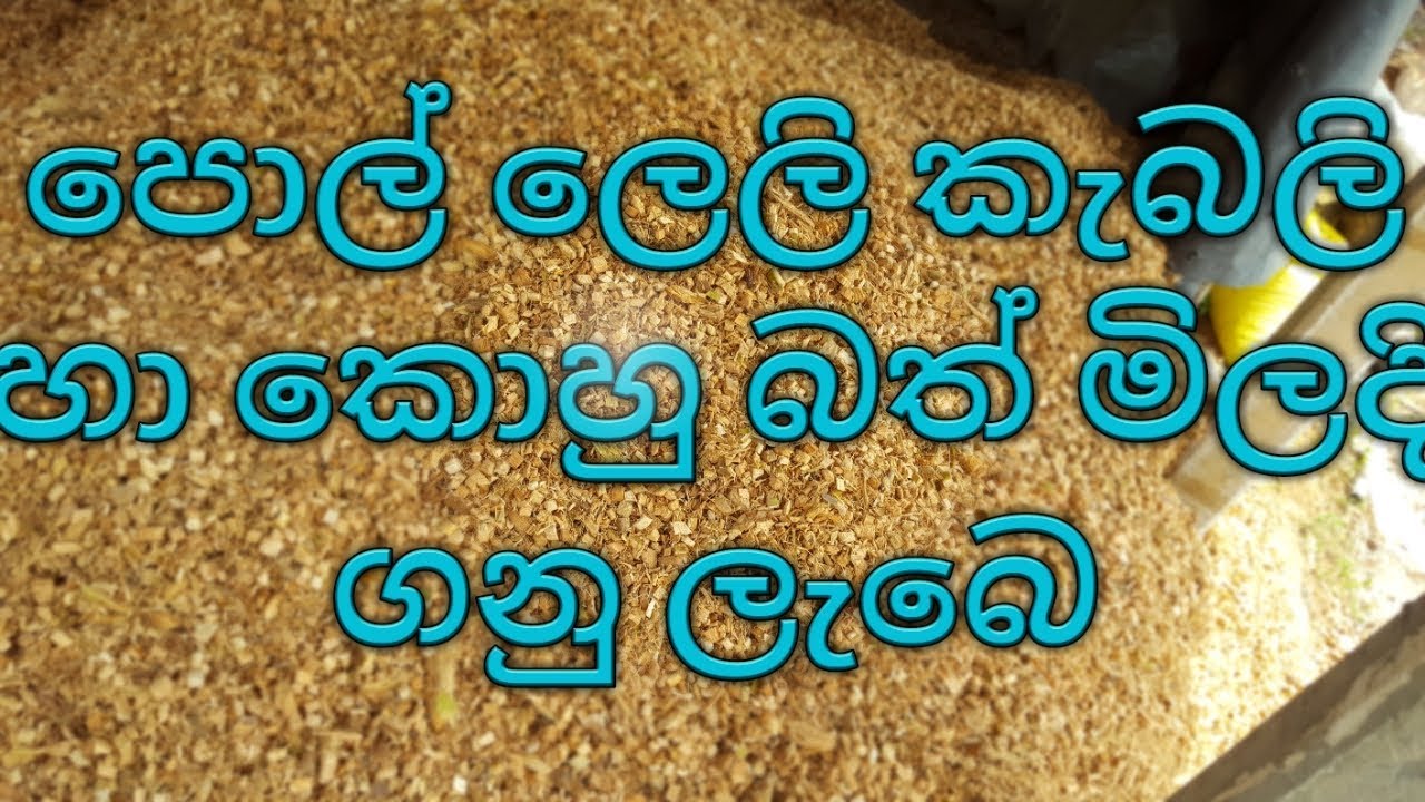 Coconut husk chips buyers in Sri Lanka  076 4103180 පොල් ලෙලි කැබලි හා කොහුබත් මිලදි ගනු ලැබෙ