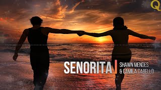 Download Lagu Señorita - Shawn Mendes dan Camila Cabello | Lyrics (Terjemahan Indonesia)