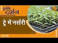 Krishi Darshan: ट्रे में नर्सरी | DD Kisan (Nov 5, 2025)