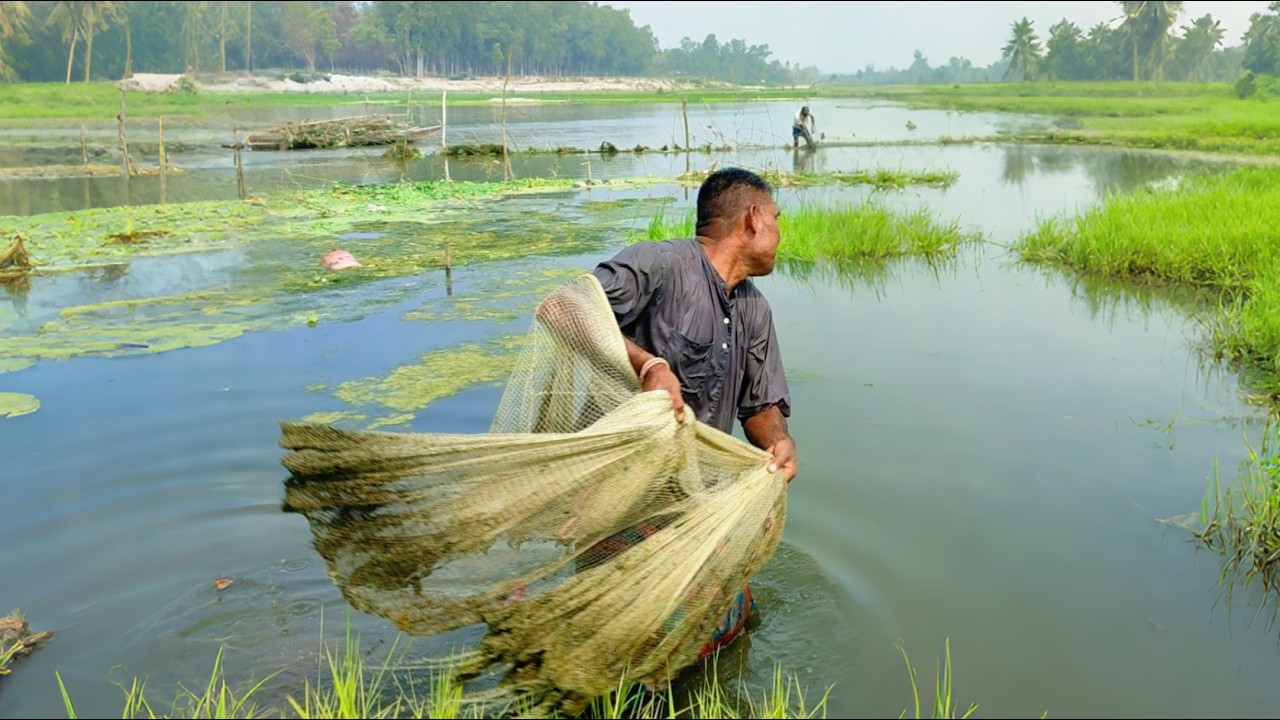 Amazing Best Net Fishing Video 2026 - Traditional New Fishing In Village River